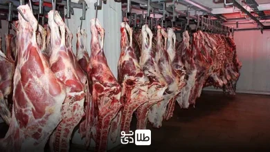 قیمت گوشت قرمز